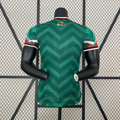 Mexico 2024 Football Jersey Special Edition Dragon Ball (Player Version)