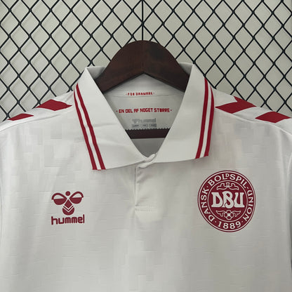 Denmark 2024 Football Jersey Away (Fan Version)