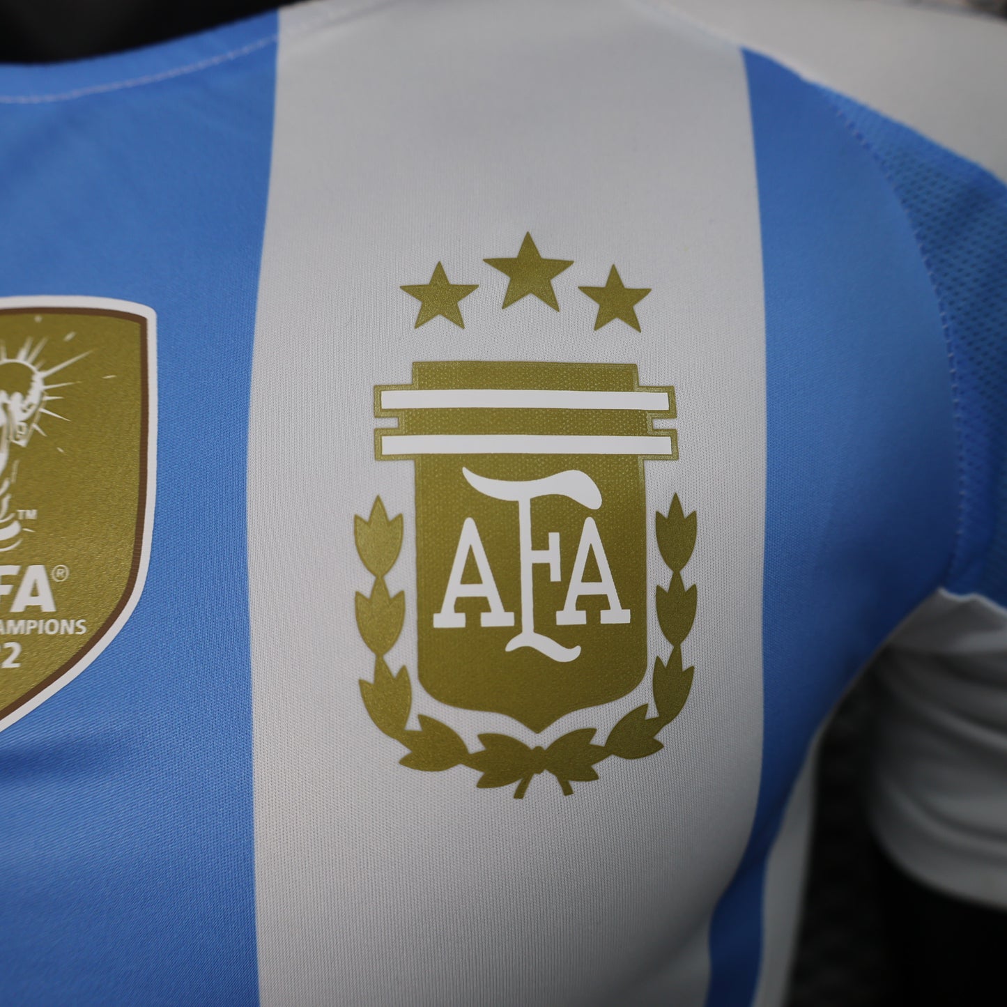 Argentina 2024 Football Jersey (Home Player Version)