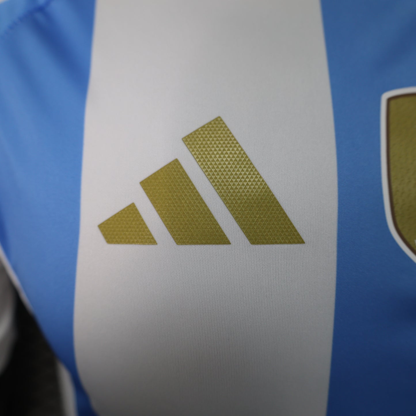 Argentina 2024 Football Jersey (Home Player Version)