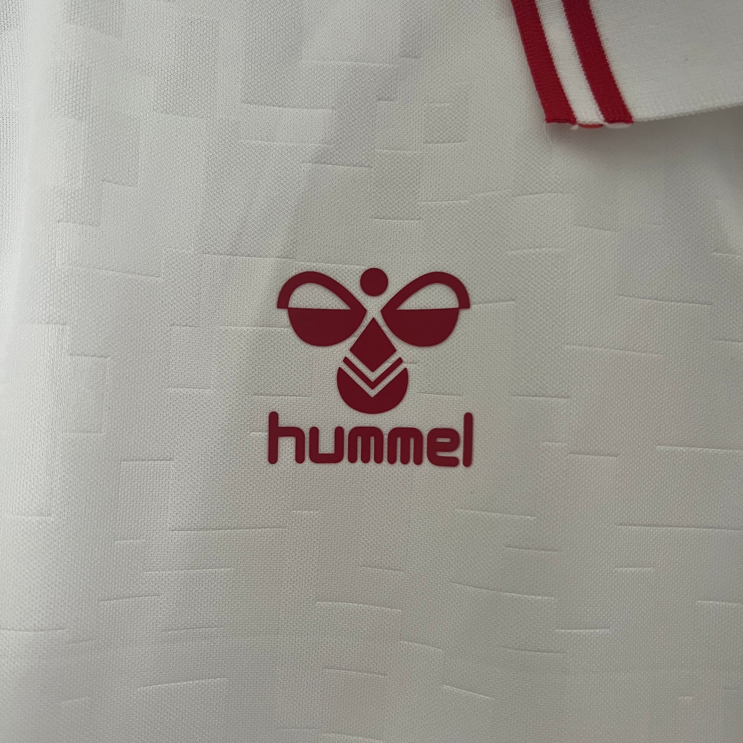 Denmark 2024 Football Jersey Away (Fan Version)