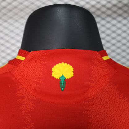 Spain 2024 Football Jersey (Player Version)